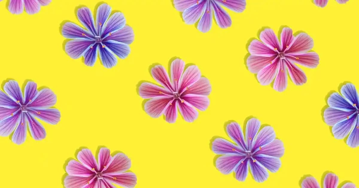 2025'te Karaca Biogranit Berra 3'lü Tava Seti ile Mutfakta Devrim