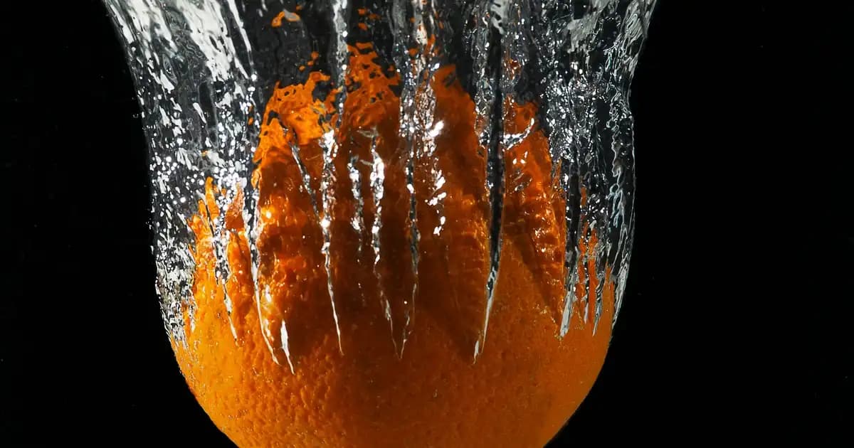Karaca Kupa Bardaklar ile Dekorasyonda Zarafet ve Çok Yönlülük Sağlayan Çözümler