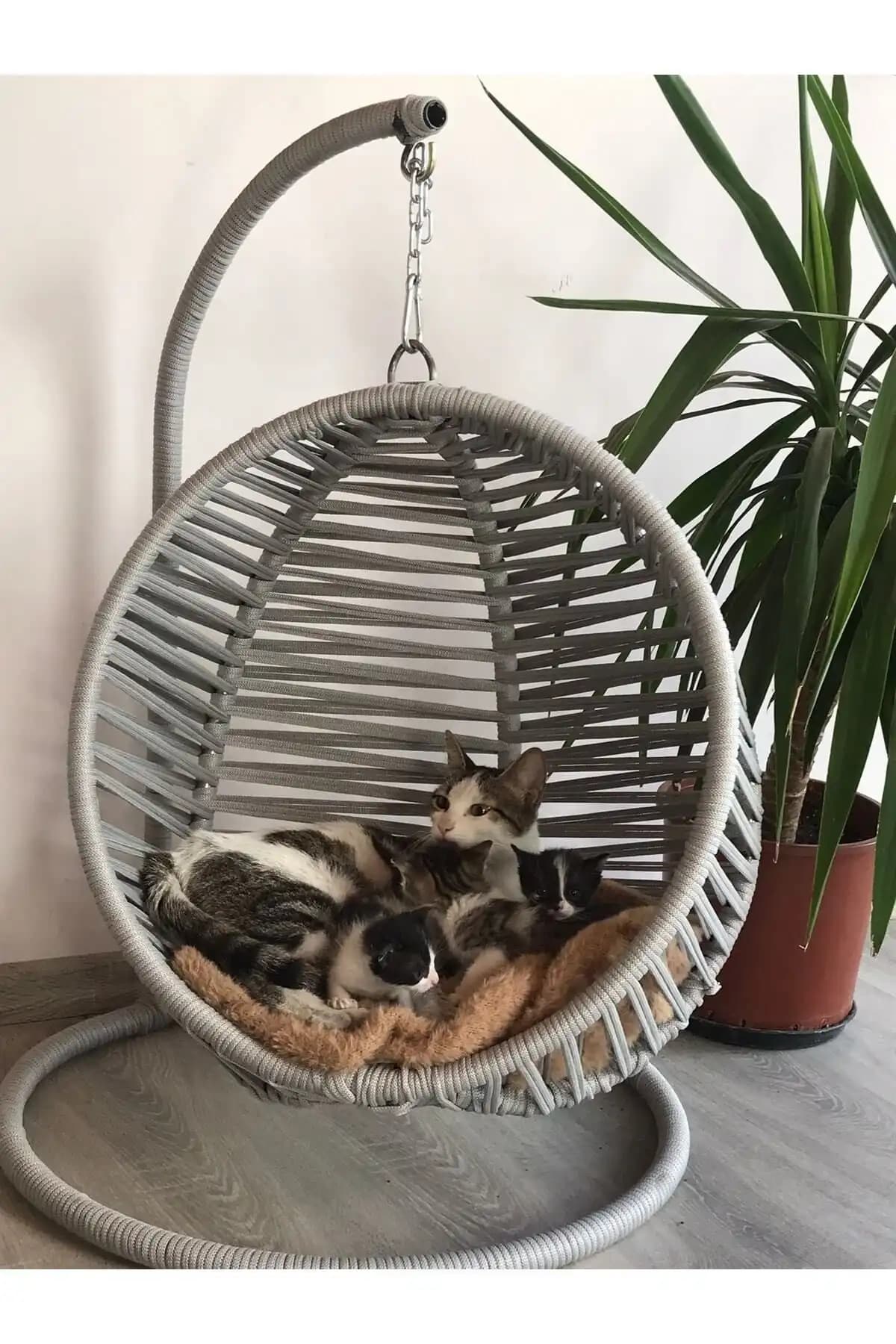 Kedi Hamağı Seçenekleri ve Dekorasyona Entegre Edilme Yöntemleri