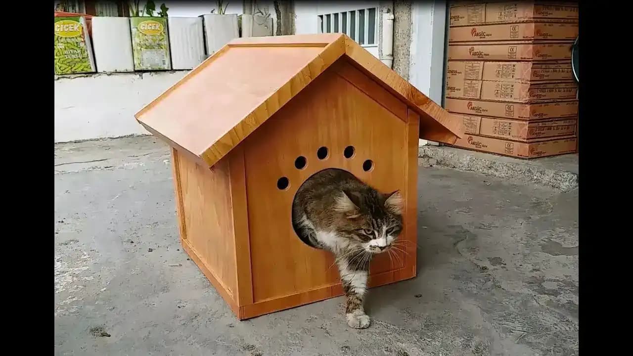 Kedi Yuvası Dekorasyonunda Şıklık ve Konforun Uyumuyla Modern Tasarımlar