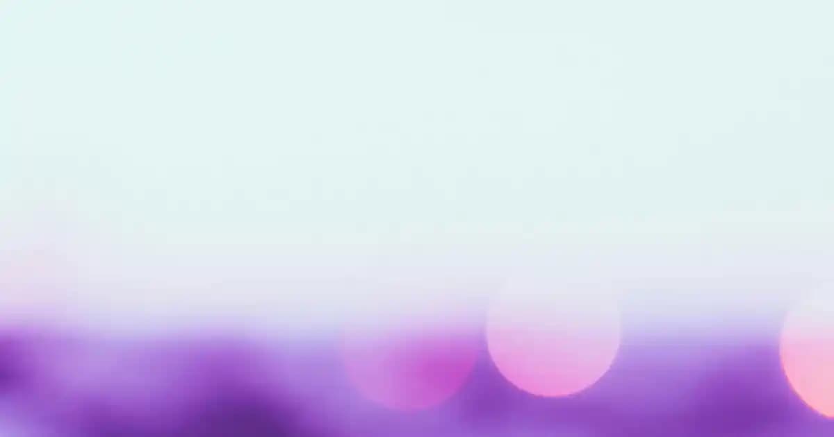 Köpek Kum Kabı Dekorasyonunda Estetik ve İşlevselliği Bir Arada Sağlama Yöntemleri