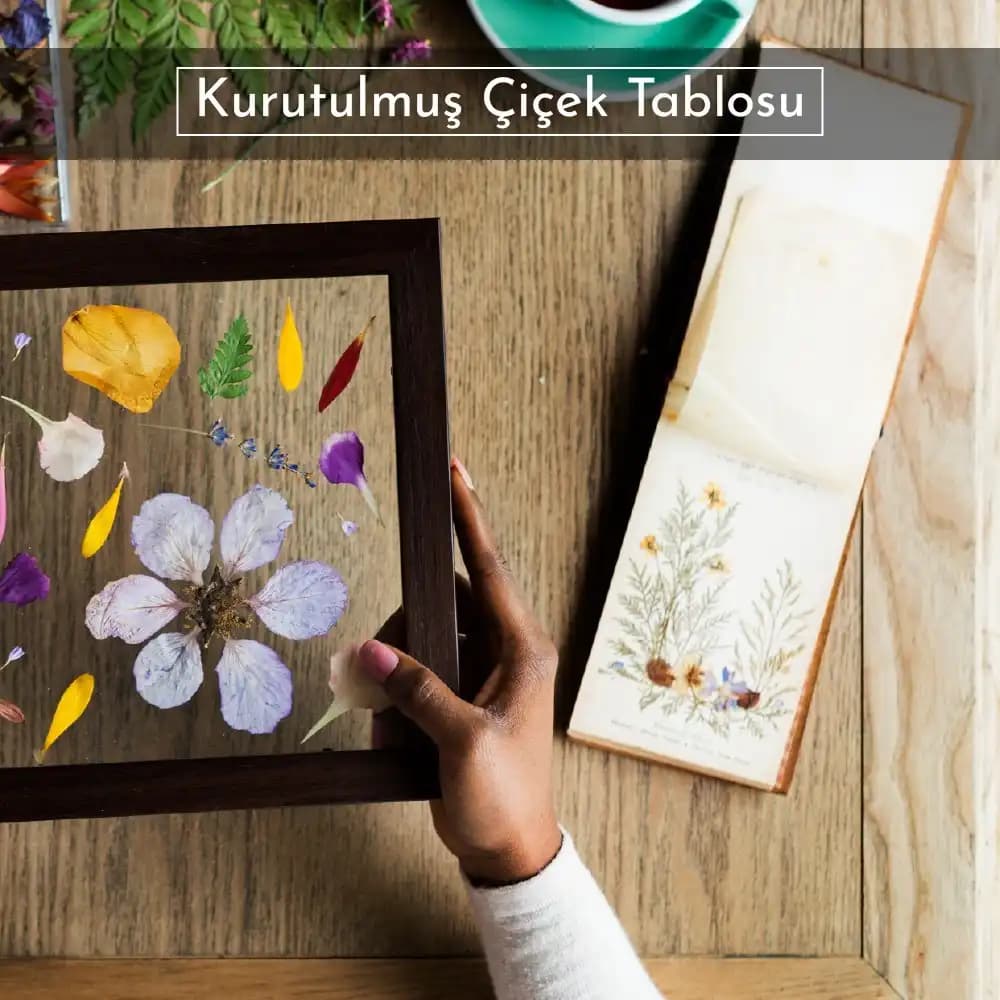 Kurutulmuş Çiçeklerle Doğal ve Sürdürülebilir Dekorasyon Önerileri ve Fikirleri