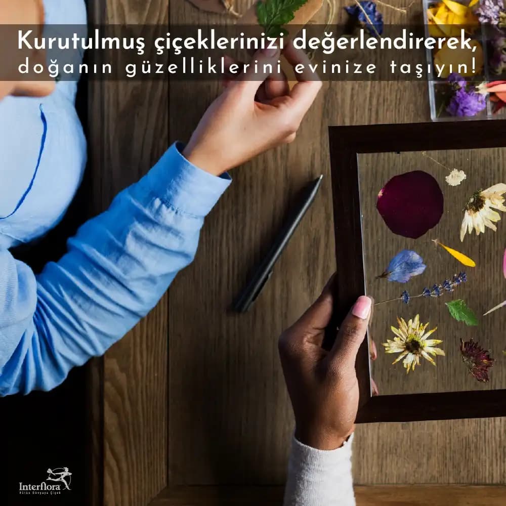 Kurutulmuş Çiçeklerle Şık ve Doğal Dekorasyon Fikirleri ve Kendin Yap Projeleri