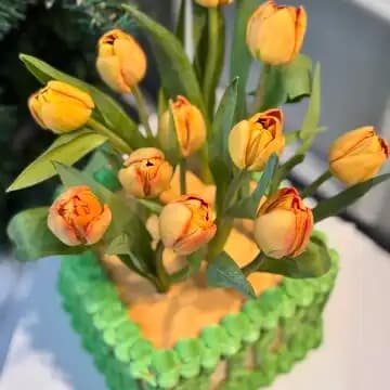 Lale Koleksiyonlarıyla Dekorasyonunuzu Canlandırmanın Yolları ve Fırsatları