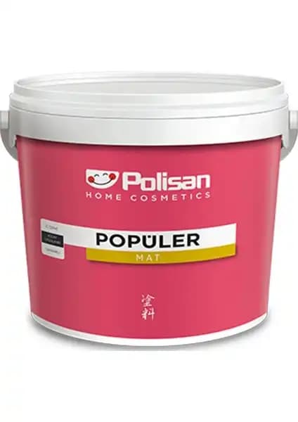 Polisan Popüler Plastik İç Cephe Boyası İncelemesi ve Kullanım Rehberi