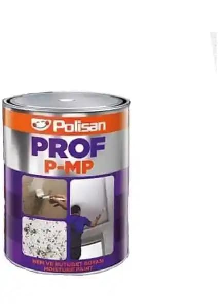Polisan Prof P-Mp Nem ve Rutubet Boyası: Yüksek Performanslı Çözüm İç ve Dış Mekanlar İçin