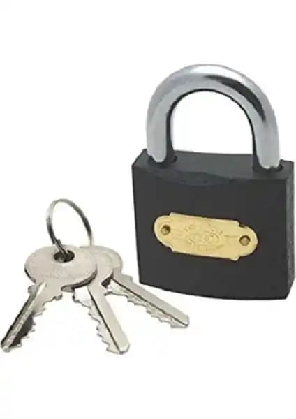 Tri-Moon Gri 50 mm Asma Kilit Güvenlik ve Estetiği Bir Arada Sunar