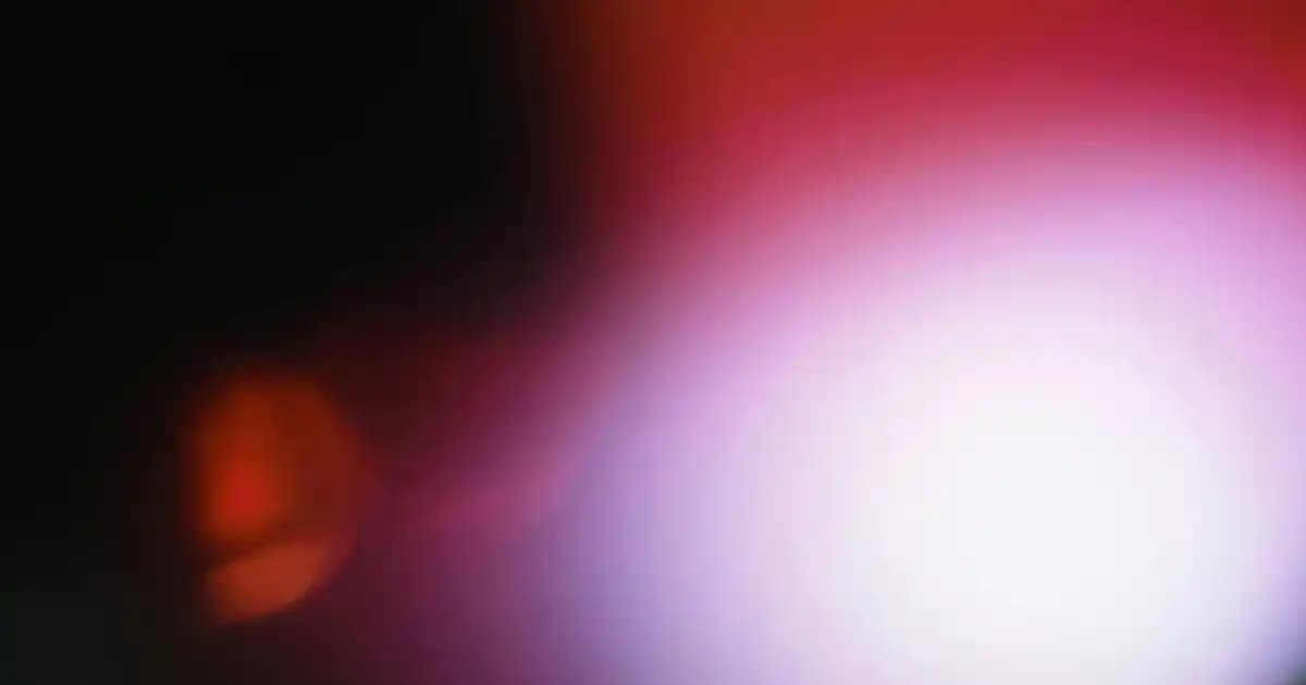 50 litrelik plastik saklama kaplarıyla fonksiyonel ve şık yaşam alanları oluşturma