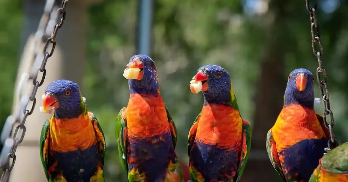 Çoklu Orkide Saksısı ile Dekorasyonda Zarafetin Yeni Yöntemleri ve Farklı Tasarım İpuçları