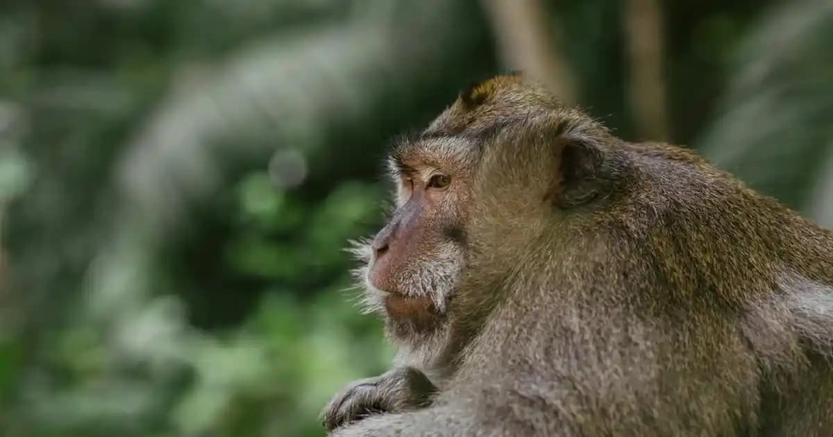 Metal Sepetlerle Dekorasyonda Şıklık ve Fonksiyonellik Artırma Yöntemleri