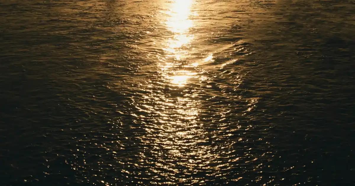 Nehir Marka Çatal, Kaşık ve Bıçak Takımlarıyla Sofranıza Şıklık Katın