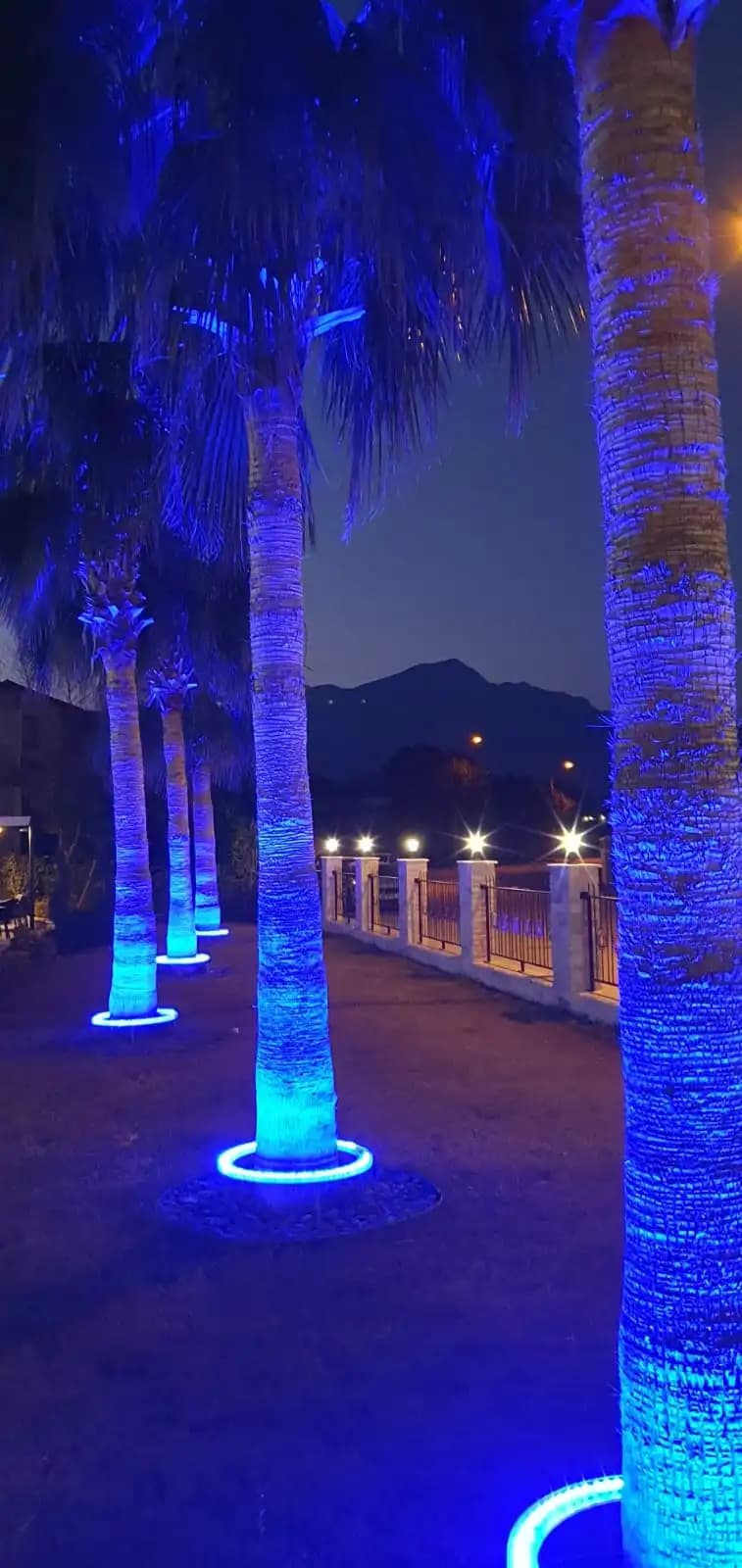 Palmiye Aydınlatma ile Mekânlarınızı Modern ve Estetik Şekilde Aydınlatın