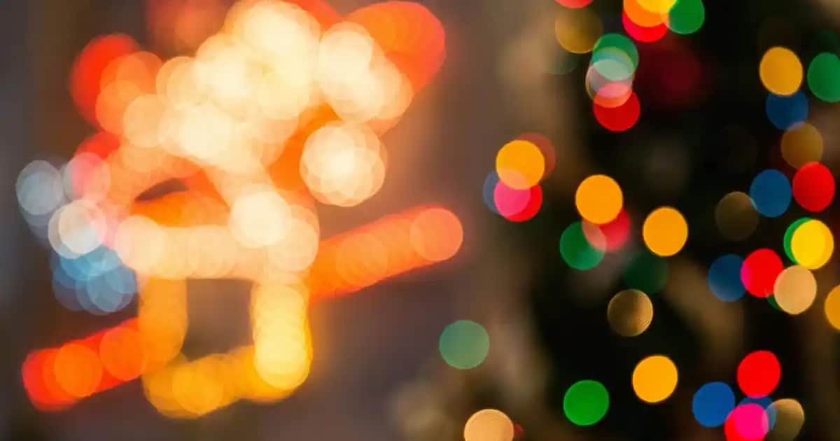 Pamuklu Halı Seçenekleri ve Dekorasyonda Kullanım İpuçları