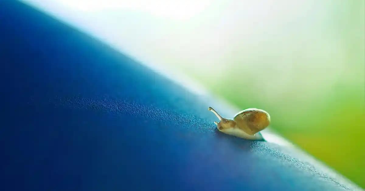 Paslanmaz Çelik Kase: Modern Dekorasyon ve Fonksiyonellik İçin Uygun Seçenekler