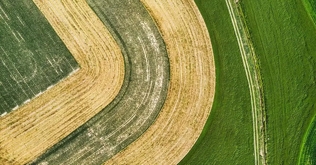 Peluş Yatak Örtüsü ile Yatak Odası Dekorasyonunda Şıklık ve Konforun Anahtarı