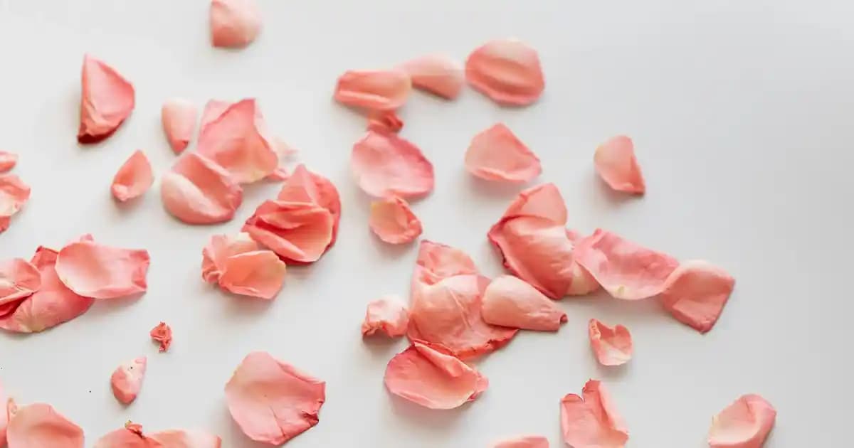 Petek Pike Kumaşıyla Dekorasyonda Estetik ve Fonksiyonelliğin Buluşması