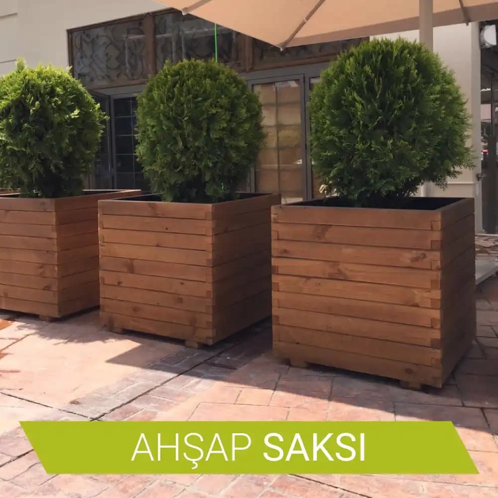 Saksı Fiyatları ve Seçim Rehberi: Dekorasyonda Uygun ve Estetik Saksı Seçenekleri