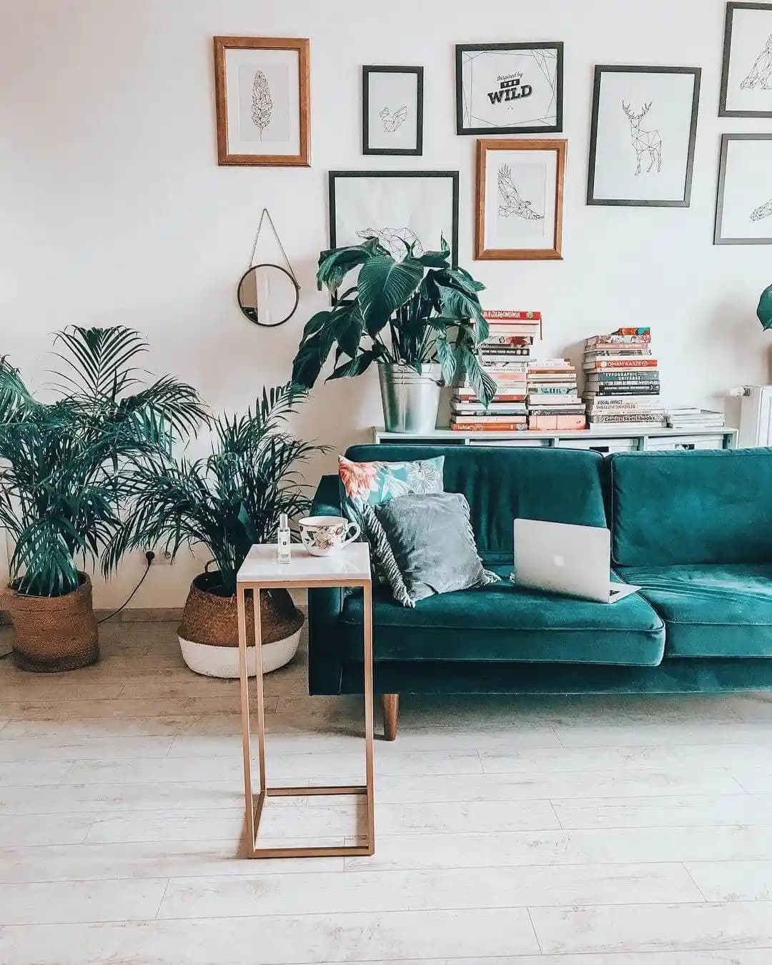 Salon Dekorasyonunda Çiçek Seçenekleri ve Kullanım İpuçları