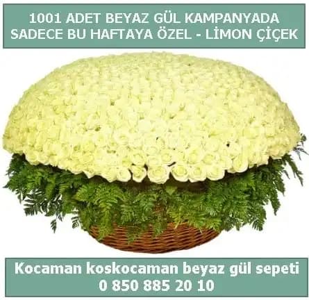 Siirt Çiçek Sepeti ile Evinize Doğal ve Şık Dekorasyon Fikirleri