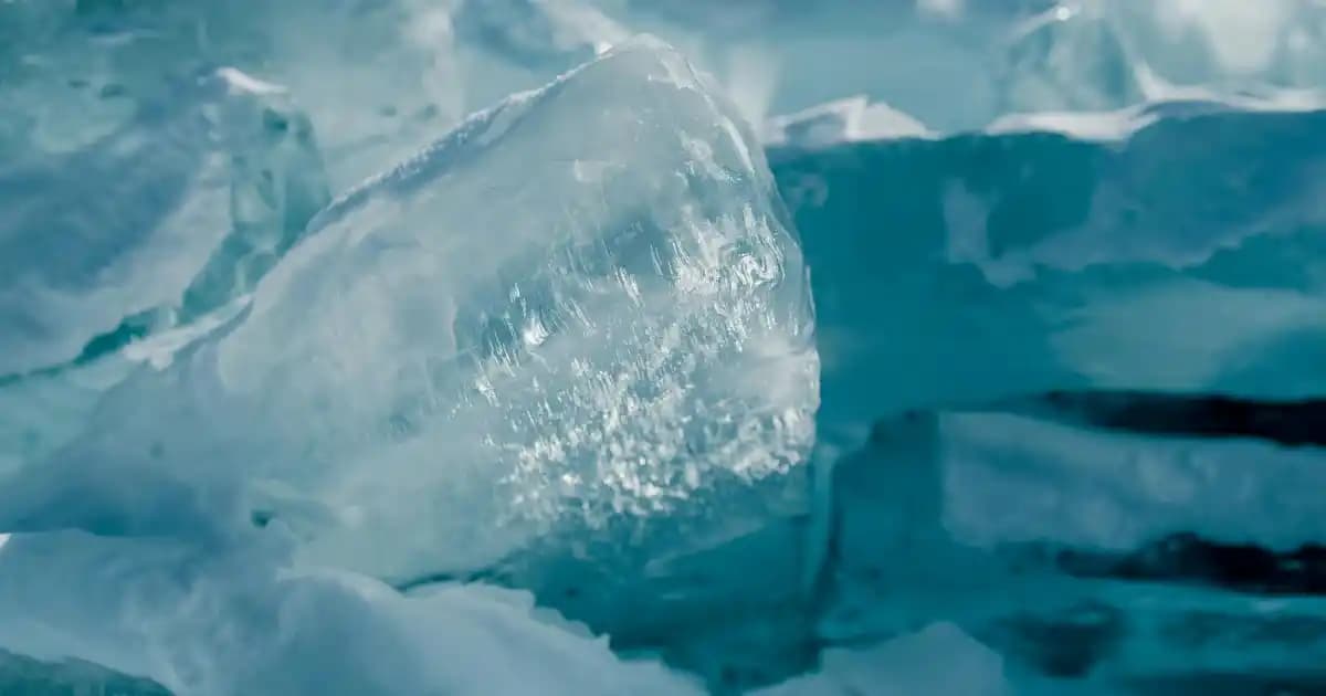 Silva El Mop ile Temizlik ve Dekorasyonda Yenilikçi Çözümler