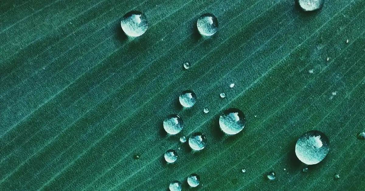 Siyah Post Halı ile Modern ve Şık Dekorasyon Yaratmanın Yolları