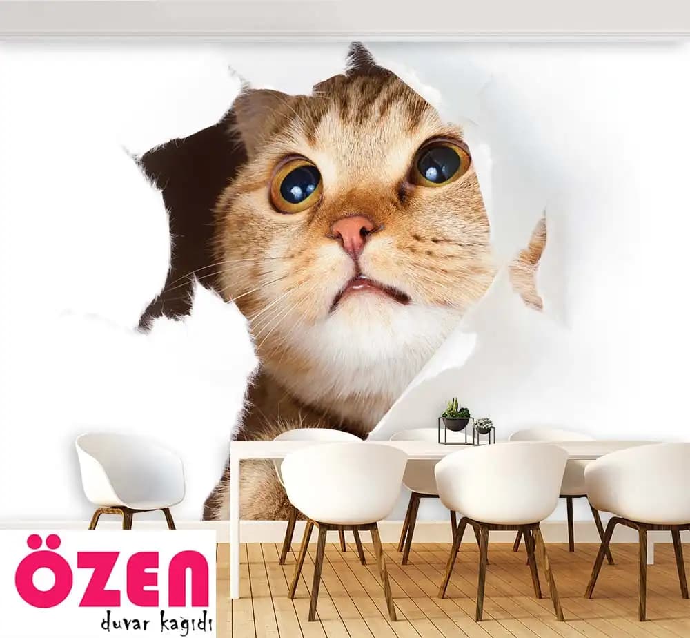 Soft Kedi Duvar Kağıdıyla Evinize Sıcak ve Sevimli Bir Atmosfer Yaratın