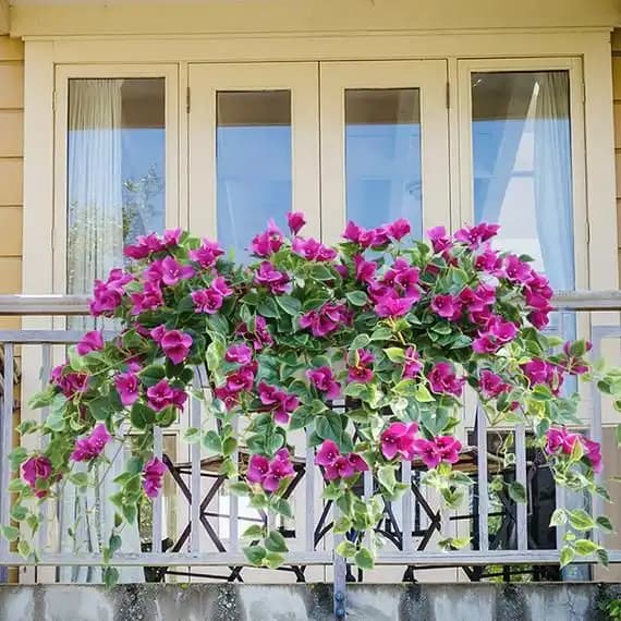 Yapay Balkon Saksı Çiçekleri ile Dekorasyonunuzu Pratik ve Estetik Şekilde Yenileyin