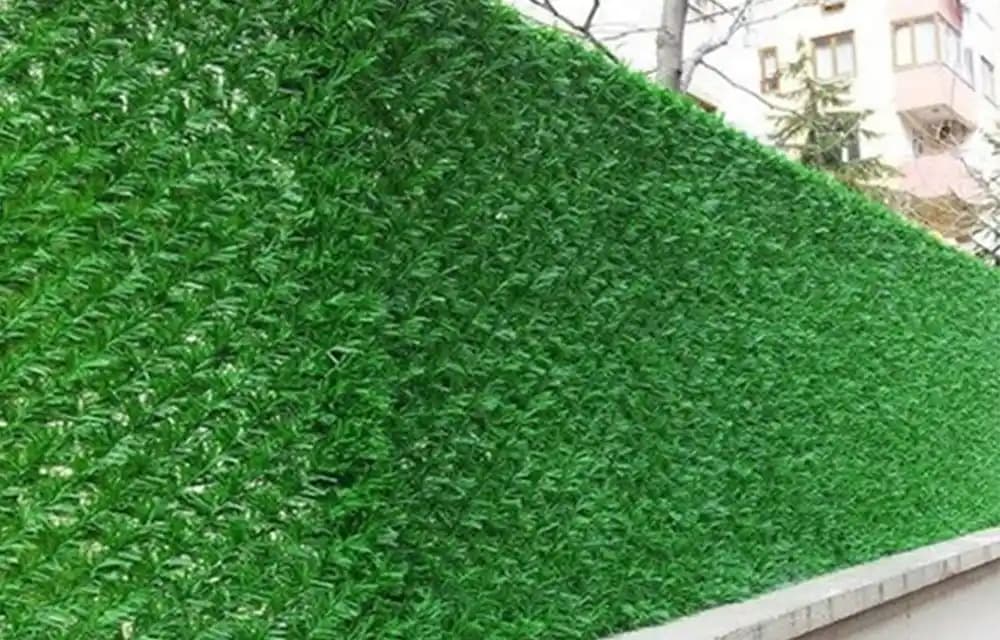 Yaprak Çit ile Bahçe ve Mekân Dekorasyonunda Güncel Trendler ve Uygulama İpuçları