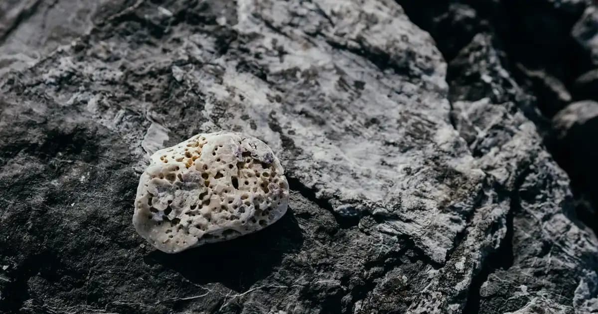 Yavrulu Lambaderler ile Dekorasyonda Şıklık ve Fonksiyonellik Bir Arada