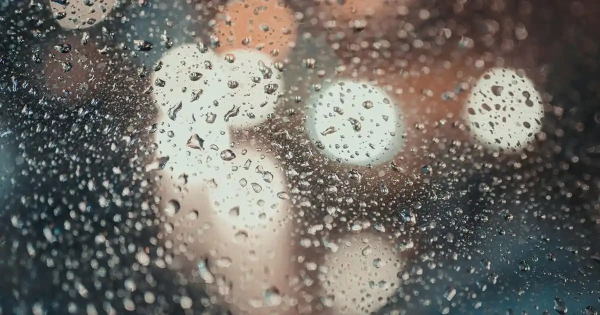 Yelpaze Duvar Süsü ile Mekânlarınızda Şıklık ve Dinamiklik Yaratın