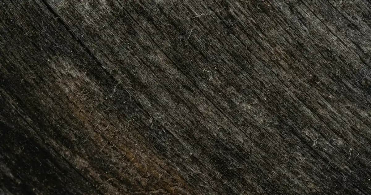 Yeni Model Halılar ile Modern ve Estetik Dekorasyon Çözümleri