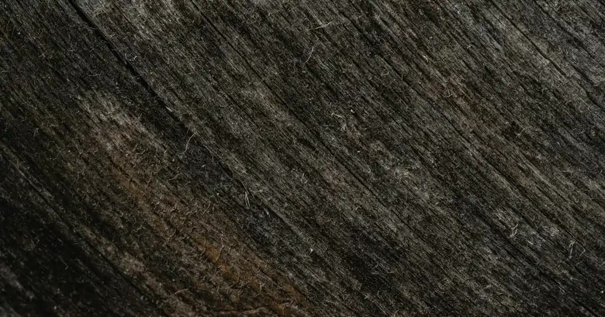 Yeni Model Halılar ile Modern ve Estetik Dekorasyon Çözümleri