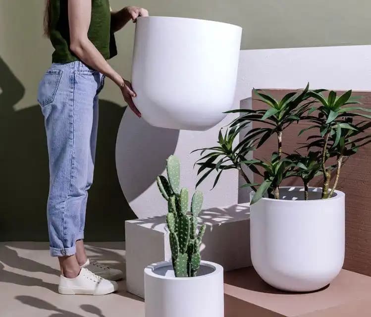 Yüksek Saksı Modelleri ile Mekanlarınıza Estetik ve Şıklık Katın