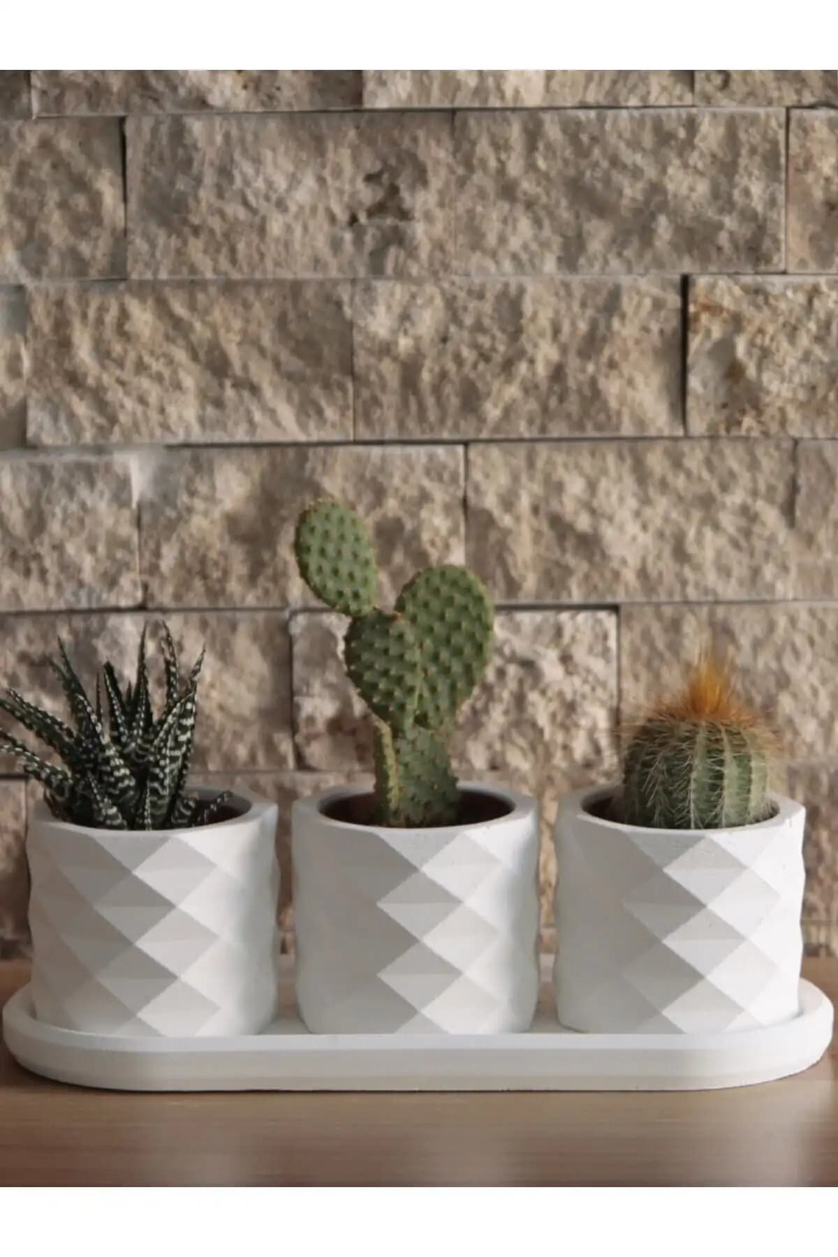 Modern Sukulent Saksıları Karşılaştırması: Mini Silindir ve Prizma Tasarımları 2