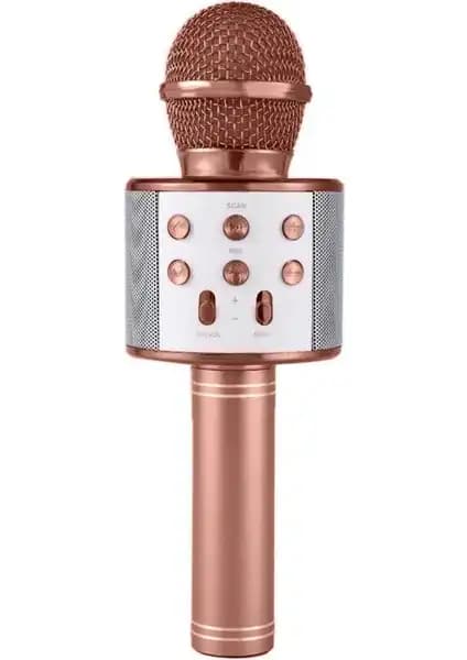 Blupple WS-858 ve Tatu Handheld Ktv Karaoke Mikrofonları Karşılaştırması 1