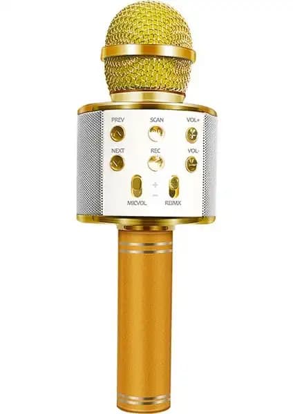 Concord C-8500 ve Tatu WS-858 Karaoke Mikrofonları Karşılaştırması 2