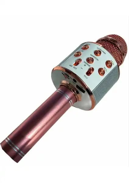 Karaoke Mikrofonları Ninova ve Tatu WS-858 Karşılaştırması ve Seçim Rehberi 1