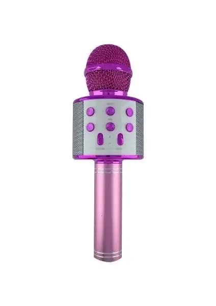 Karaoke Mikrofonları Ninova ve Tatu WS-858 Karşılaştırması ve Seçim Rehberi 2