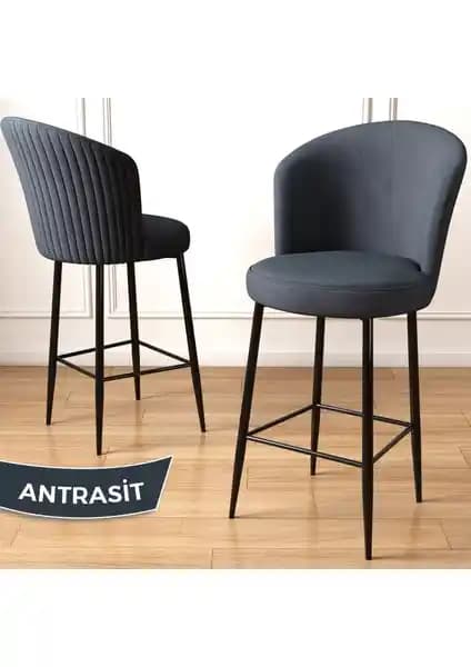 Canisa Fora ve Tera Serisi Mutfak Sandalyeleri Karşılaştırması ve Özellikleri