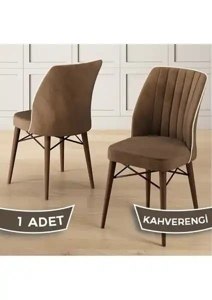 Canisa Nuna Serisi ve Yafes Kare Gold Mutfak Sandalyeleri Karşılaştırması