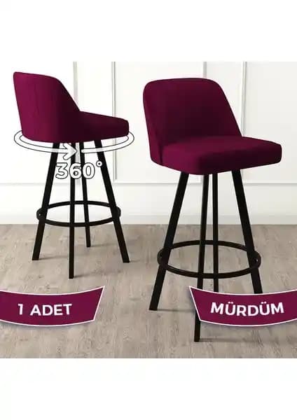 Canisa Serisi Bar Sandalyeleri Karşılaştırması: Atex ve Enox Modelleri Analizi