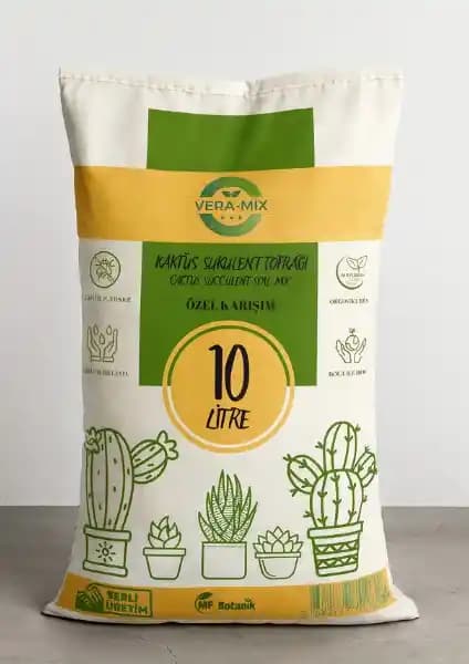 Kaktüs ve Sukulent Toprağı Karşılaştırması: En Uygun Toprak Seçimi Rehberi