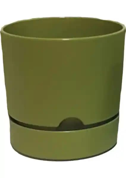 Poliwork Begonya Serisi Saksılar: 12 cm ve 18 cm Boyutlarda Detaylı Karşılaştırma