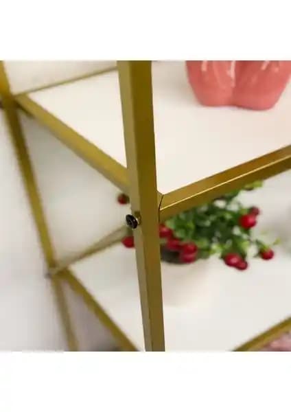 Weblonya ve Wood House Kitaplık Modellerinin Detaylı Karşılaştırması ve Kullanıcı Yorumları