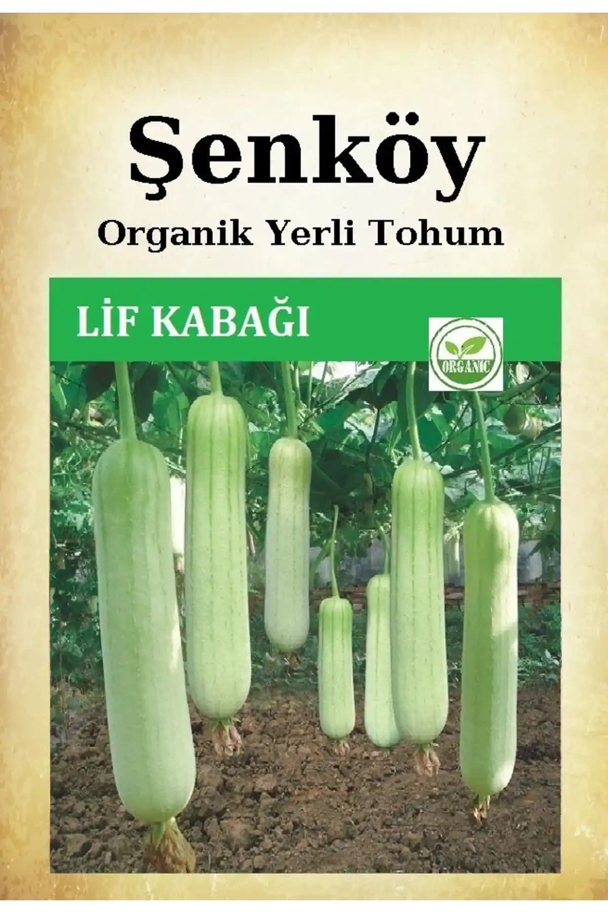 Doğal ve Organik Kabak Tohumları ile Sağlıklı Sebzeler Yetiştirme Rehberi