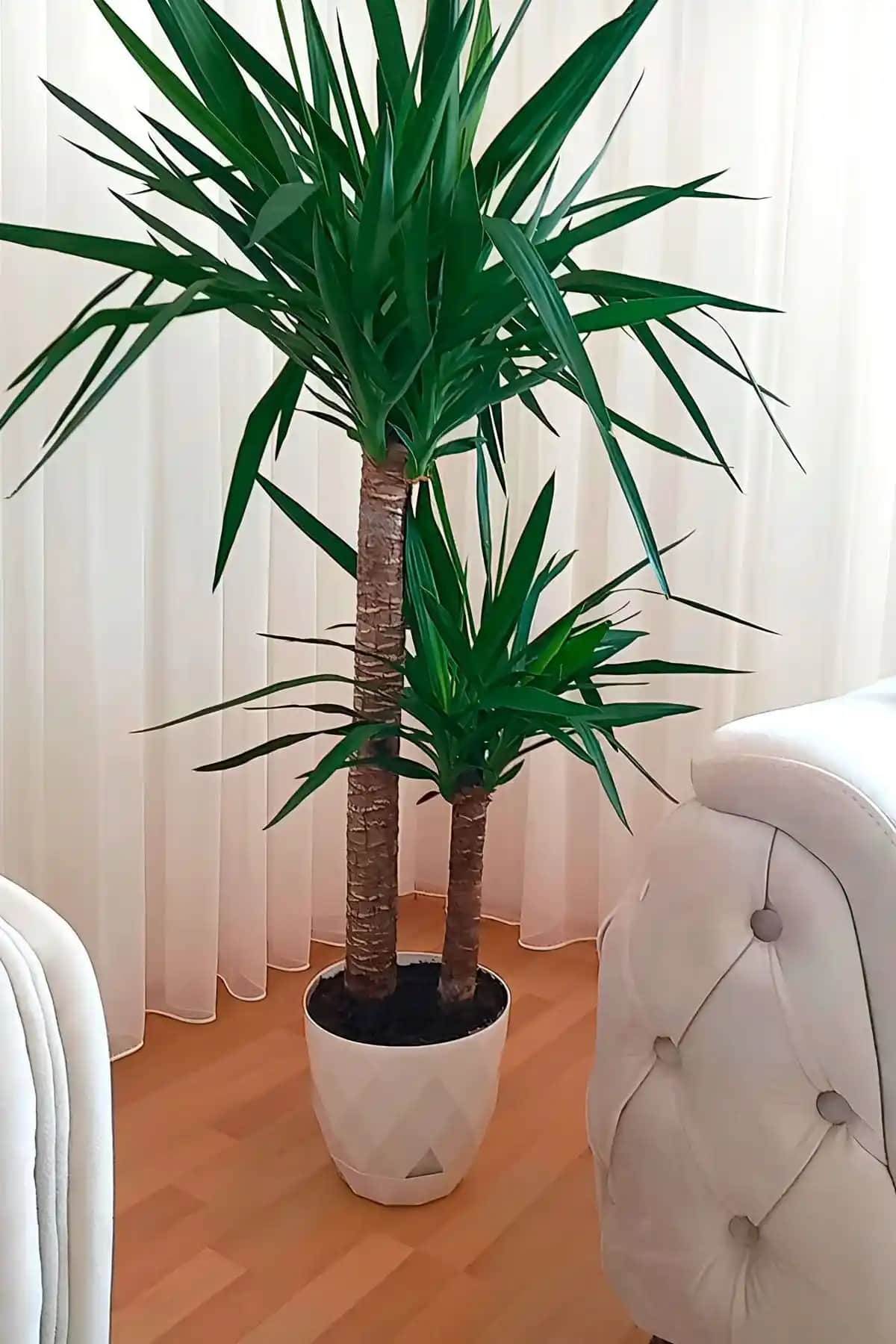 ToXA 9.2 Litre Beyaz Baklava Desenli Dekoratif Plastik Saksı İç Mekan ve Dış Mekan Kullanımı