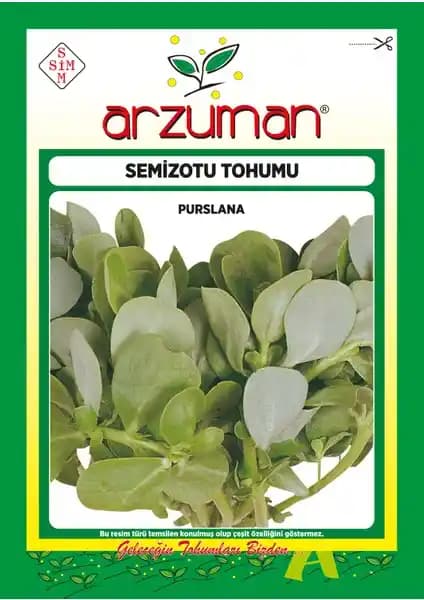 Arzuman Yeşim Semizotu Tohumu 10 Gram Doğal ve Verimli Bahçe Seçeneği