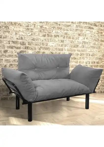 Evdemo Ada Gri İkili Koltuk Kanepe Modern Tasarım ve Dayanıklılık Özellikleri