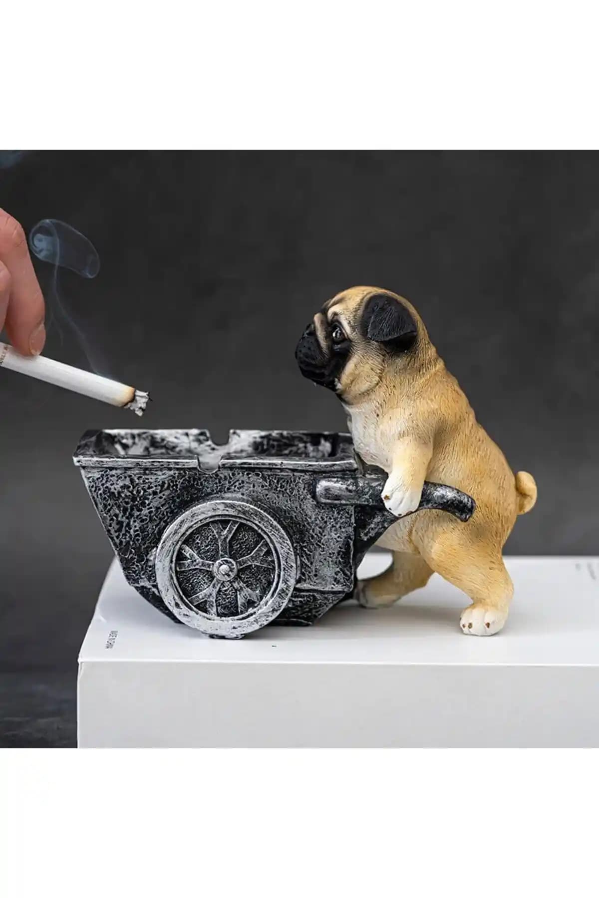 Florada Dekoratif Köpek Küllüğü: Modern ve Dayanıklı Tasarım Çözümleri