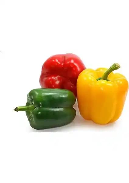 Renkli Dolmalık Biber Tohumu Paketi Ata Tohumculuk 20 Adet Bahçe Dekorasyonu İçin